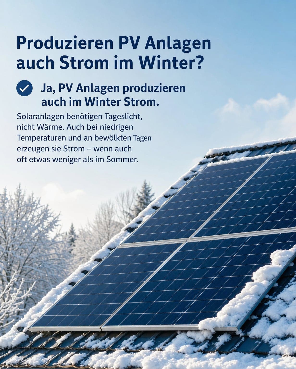 Photovoltaikmodule auf einem Hausdach im Winter bei bewölktem Himmel und leichtem Schneefall.